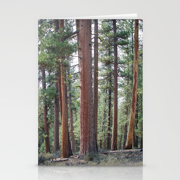 Ponderosa Pine Forest Stationery Cards