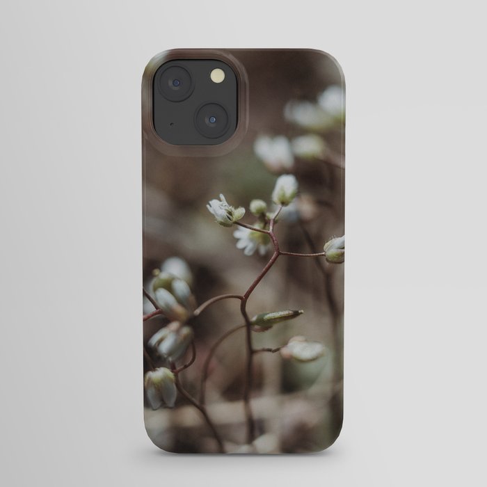 floral composition no. 3 iPhone Case