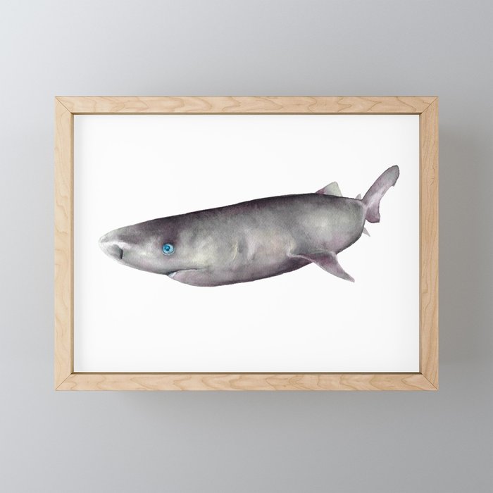 Greenland shark watercolor art Framed Mini Art Print