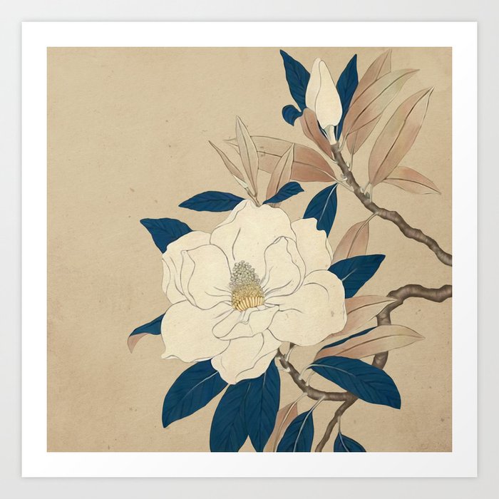 Magnolia - botanical illustration - vintage art - neutral colors - japanesse Art Print