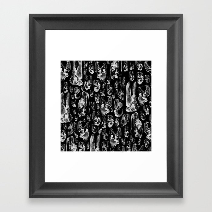 Carnivore B&W II Framed Art Print