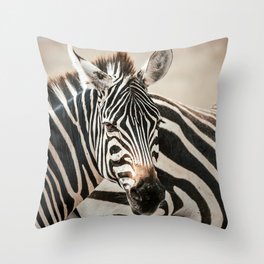 Zebra in Masaai Mara, Kenya, Africa Throw Pillow