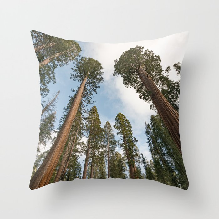Redwood Sky - Giant Sequoia Trees Throw Pillow