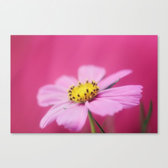 The Girly Side Canvas Print