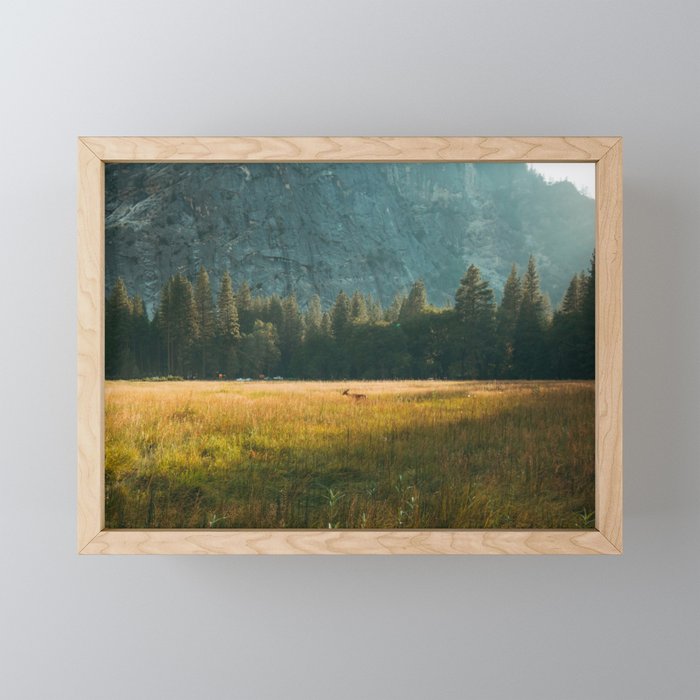 Meadow Sunset in Yosemite Framed Mini Art Print