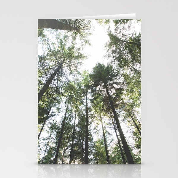 Looking up at the Pine Trees Stationery Cards