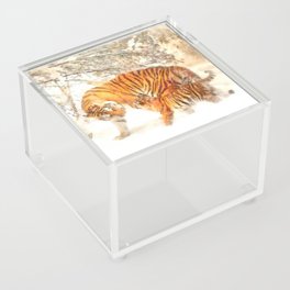 Siberian Tigers Mother and Cub Acrylic Box