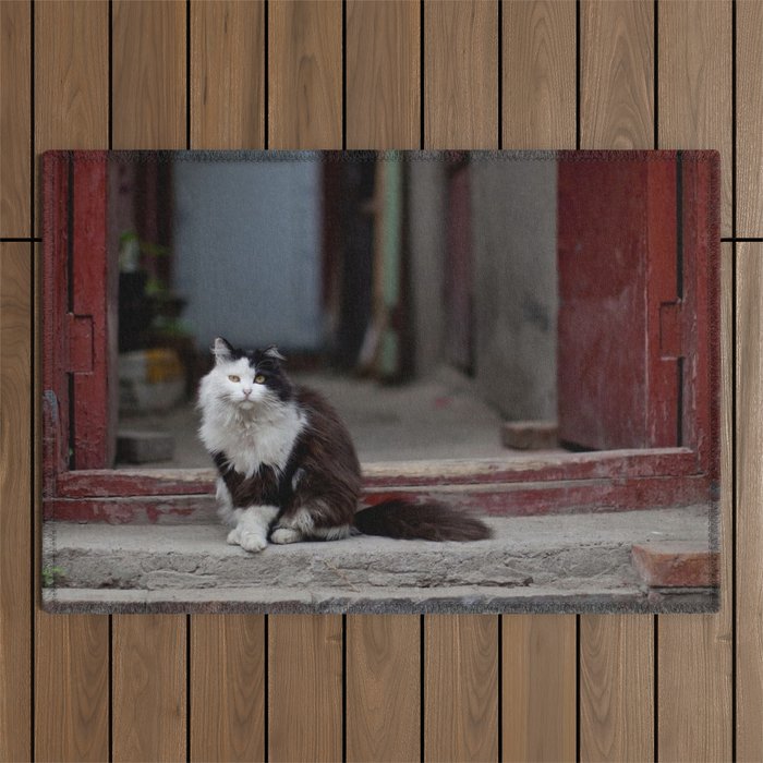 cat door background Outdoor Rug