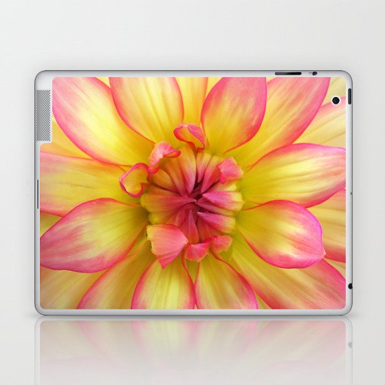 Pink And Yellow Dahlia Flower Nature Macro Photography Laptop Ipad Skin By Ekphotoart