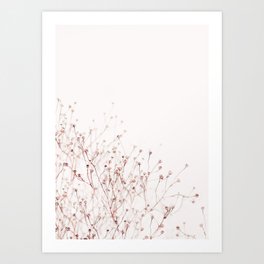 Pink Wild Flowers - Pastel floral photography by Ingrid Beddoes Art Print