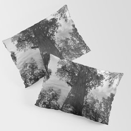 Giant Redwood, Sequoia tree grove; Redwood Forest, California Pacific Coast black and white photograph, photography, photographs Pillow Sham