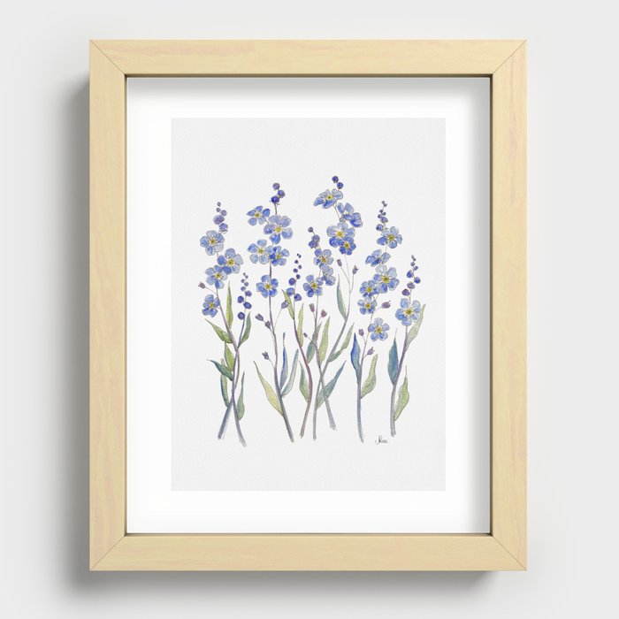Blue Forget Me Not Blooms Recessed Framed Print