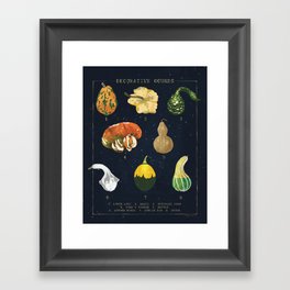 Decorative Gourds Chart Framed Art Print