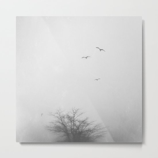 Gulls Metal Print