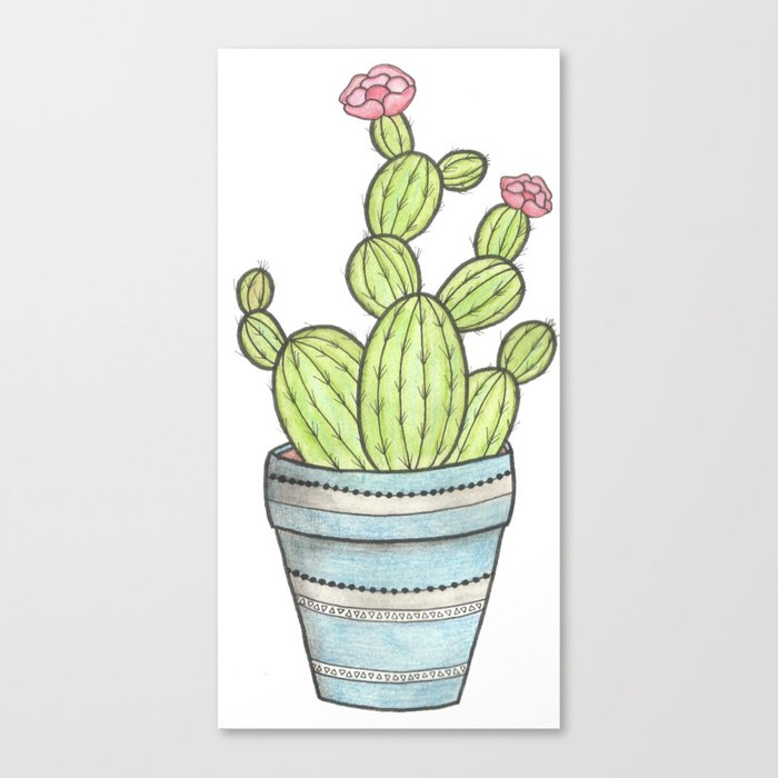 Sweet little cactus Canvas Print