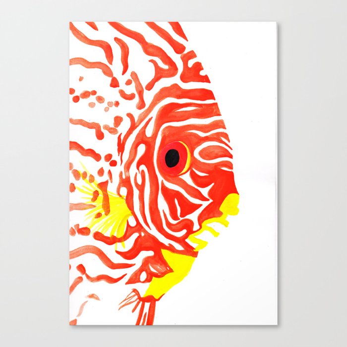 Discus Fish Canvas Print