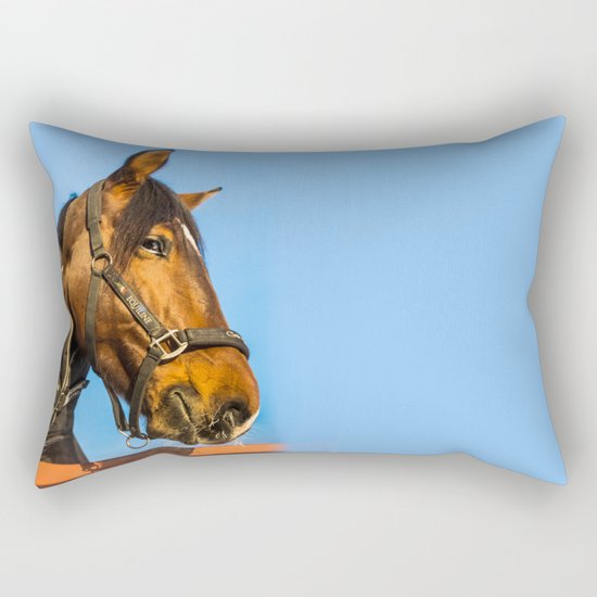 Hide and seek Rectangular Pillow