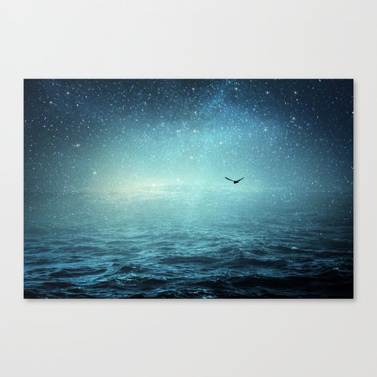 the sea and the universe Canvas Print