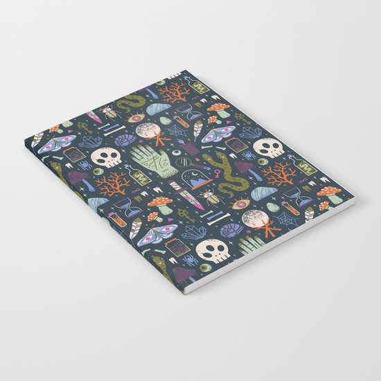 Curiosities Notebook