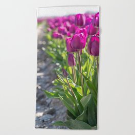 Purple tulip field in the Netherlands art print - bright flower nature and travel photography Beach Towel