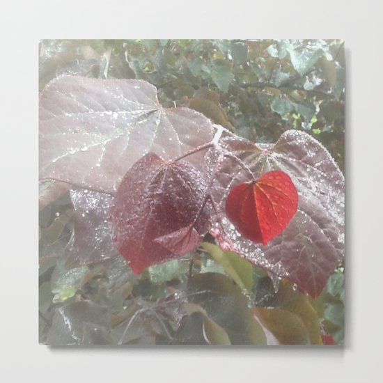 garden in the rain Metal Print