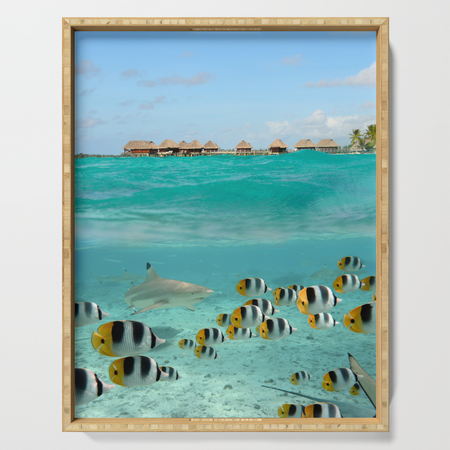 Diving With Sharks On Bora Bora Serving Tray By Ipics Society6