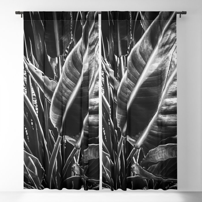 tropical leaves texture background in black and white Blackout Curtain