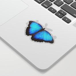 'Butterfly' cute blue design Sticker