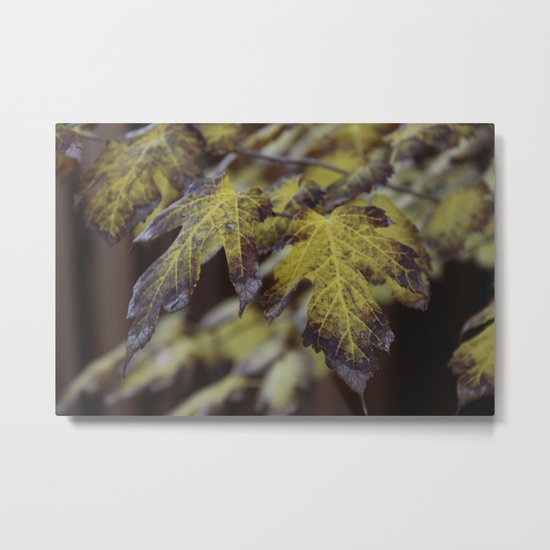 Late Arrival Metal Print