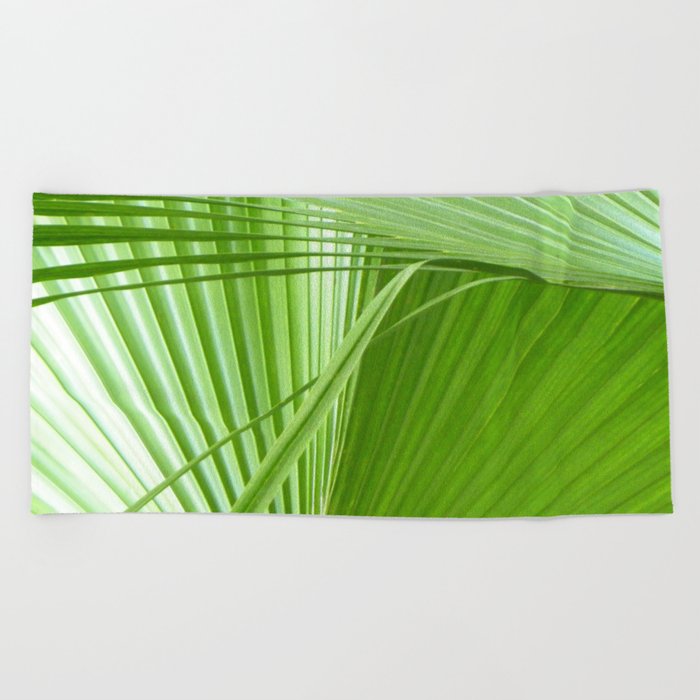 Palm Leaves Tropical Wall Art Beach Cottage Decor Coastal Art