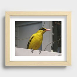 Yellow Recessed Framed Print