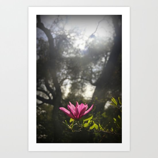 lonely beauty Art Print