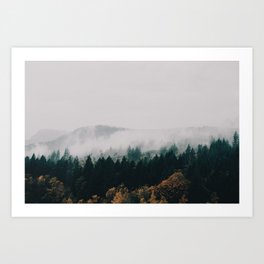Forest Fog Art Print