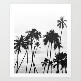 Tropical Black and White Nature Photography Art Print