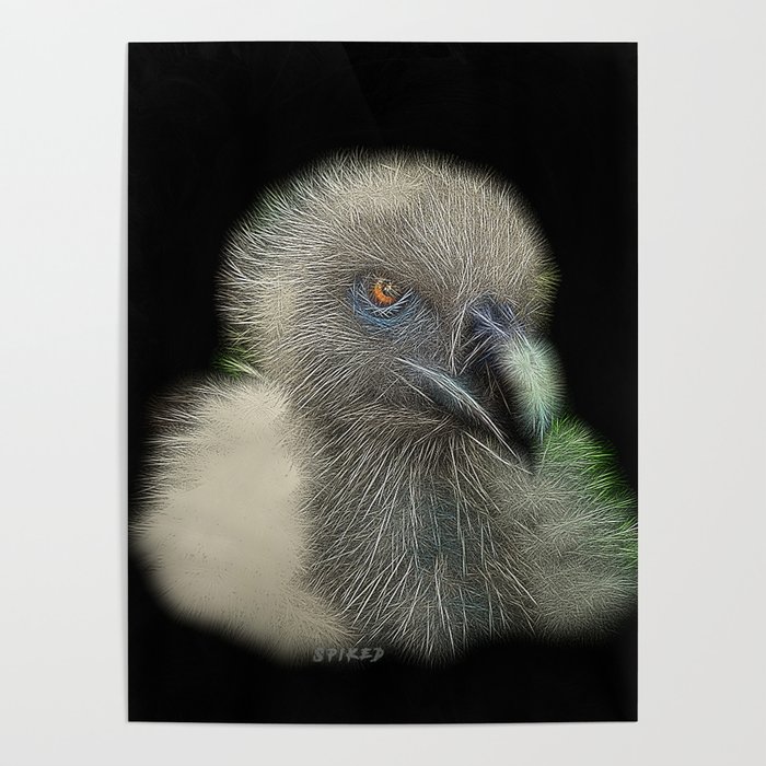 Fierce Spiked Vulture Poster