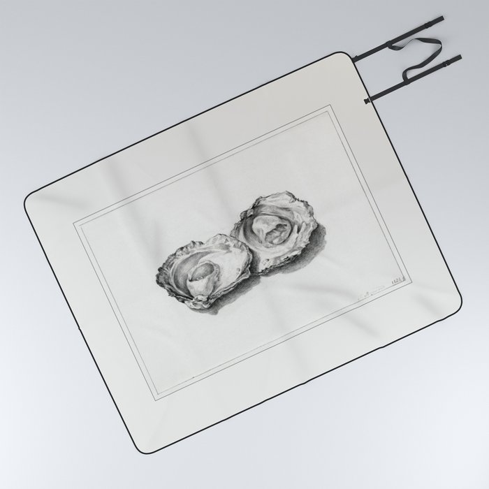 Two opened oysters (1824) drawing in high resolution by Jean Bernard Picnic Blanket
