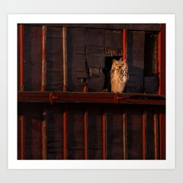 GreatHorned Owl at Sunrise Art Print | Color, Redbarn, Nopeople, Gho, Greathornedowl, Outdoors, Photo, Digital, Nature, Birdsofprey 