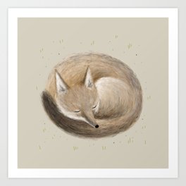 Swift Fox Sleeping Art Print