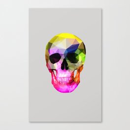 Rainbow Skull Canvas Print
