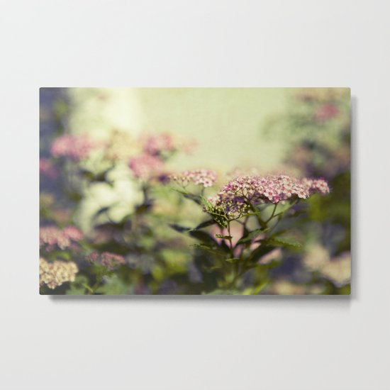 Surrounded by Beauty Metal Print
