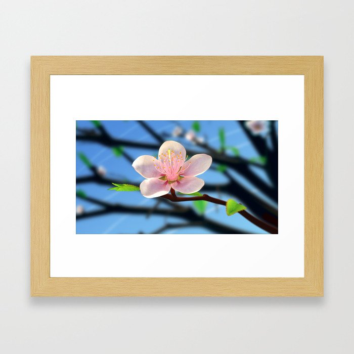 Peach Blossom Framed Art Print