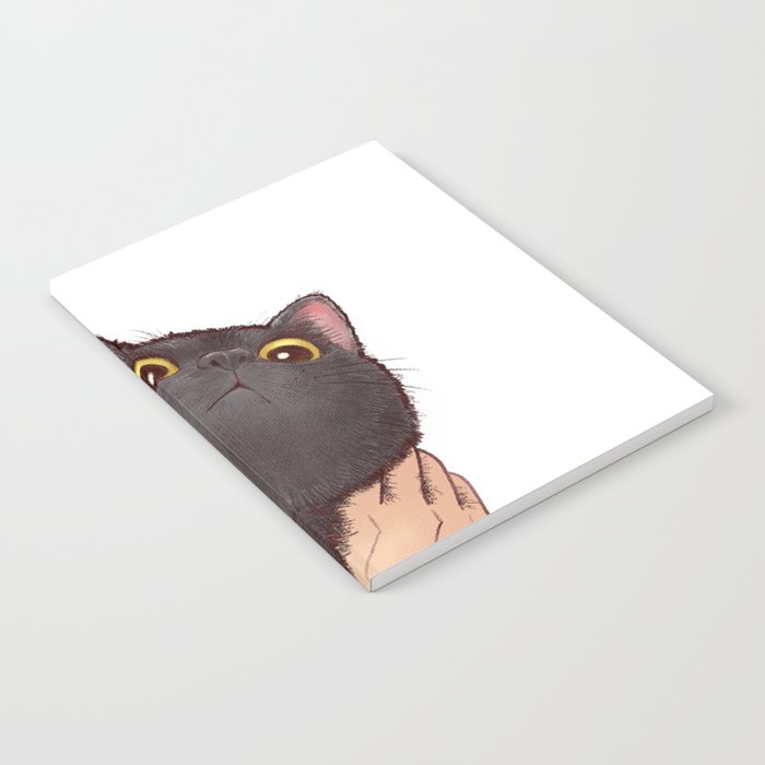 cat : huuh Notebook