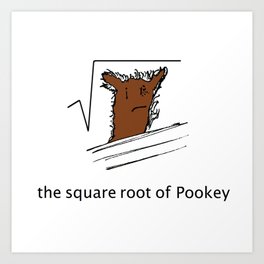 The Square Root of Pookey Art Print