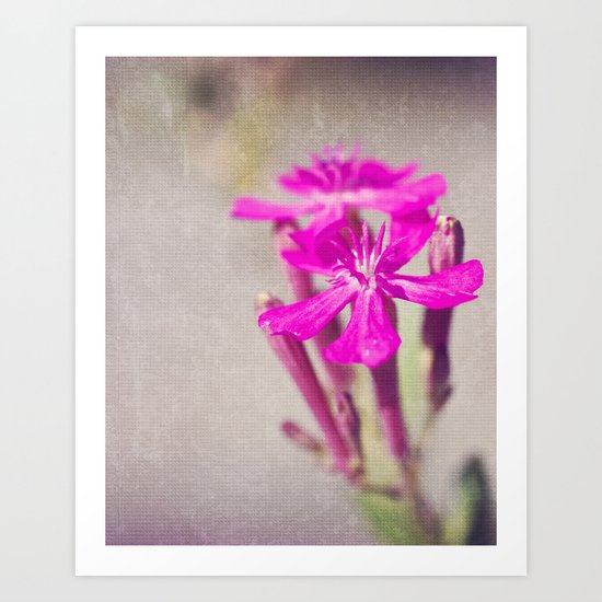 Pink Art Print