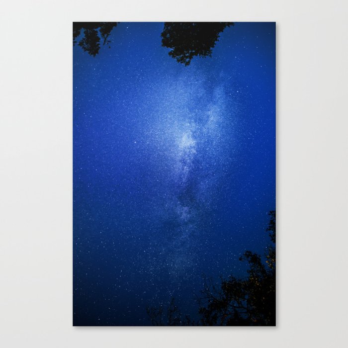 Looking up into the milkyway galaxy Canvas Print