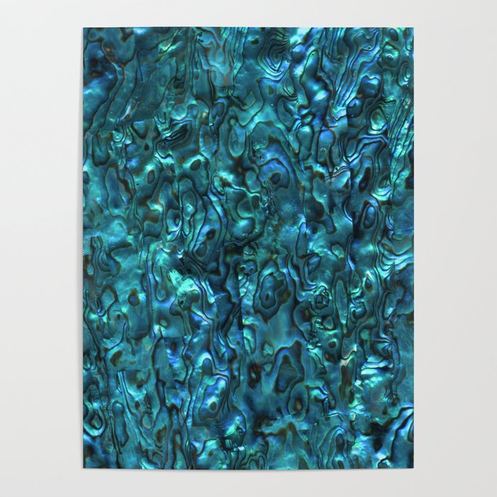 Abalone Shell | Paua Shell | Sea Shells | Patterns in Nature | Cyan Blue Tint | Poster