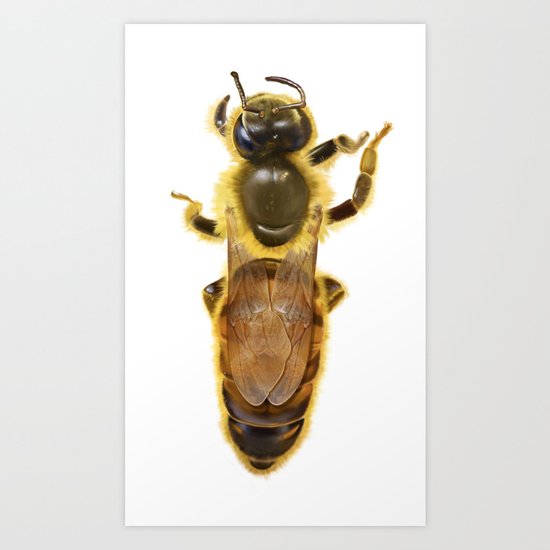 bee Art Print