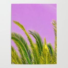 Green palm leaves on a pink background #decor #society6 #buyart Poster