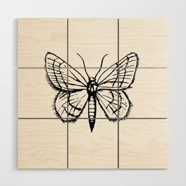 Moth illustration. Wood Wall Art