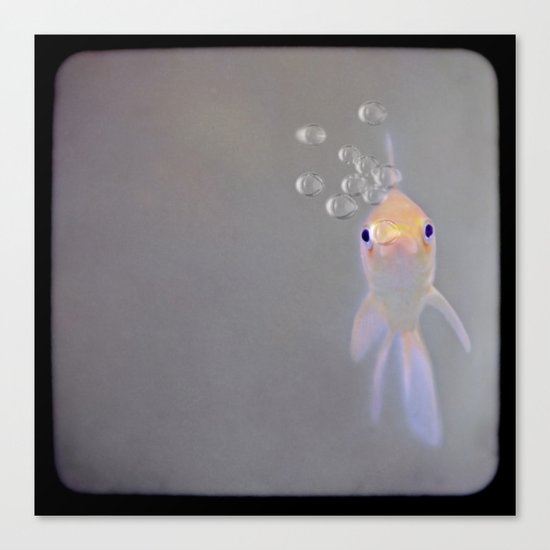 You looking at me, fishy? Canvas Print